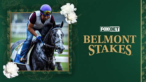 Belmont Stakes 2022 odds: Best bets, long shots, lines and .